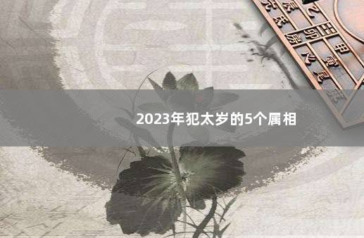 2023年犯太岁的5个属相