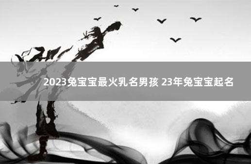 2023兔宝宝最火乳名男孩 23年兔宝宝起名