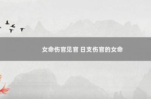 女命伤官见官 日支伤官的女命