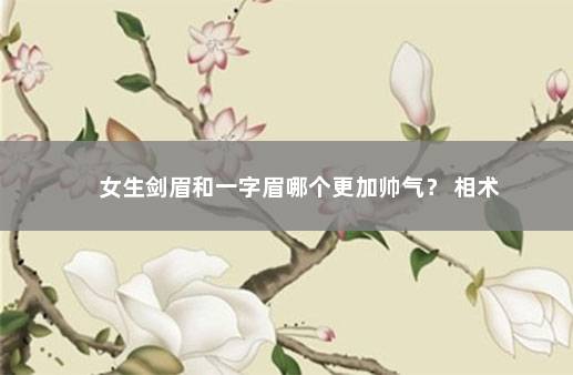 女生剑眉和一字眉哪个更加帅气？ 相术