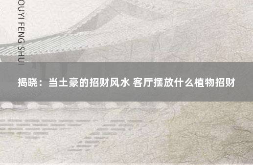 揭晓：当土豪的招财风水 客厅摆放什么植物招财
