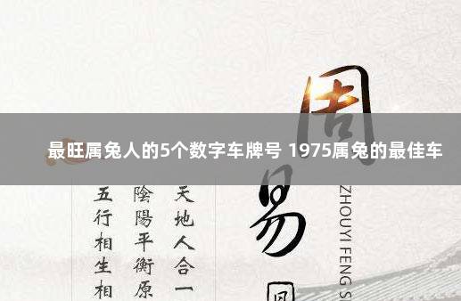 最旺属兔人的5个数字车牌号 1975属兔的最佳车牌号字母