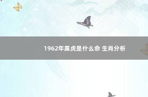 1962年属虎是什么命 生肖分析