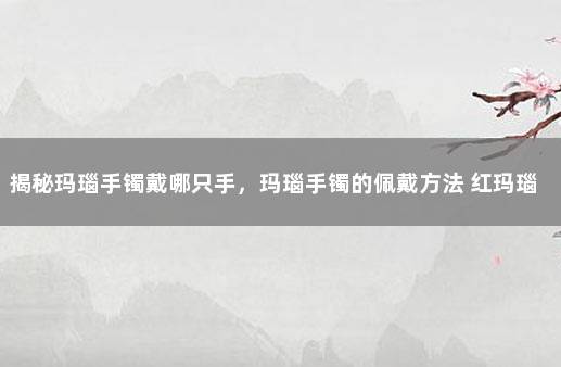 揭秘玛瑙手镯戴哪只手，玛瑙手镯的佩戴方法 红玛瑙手镯一般多少钱