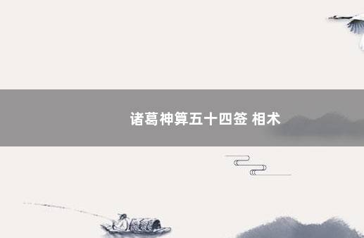 诸葛神算五十四签 相术