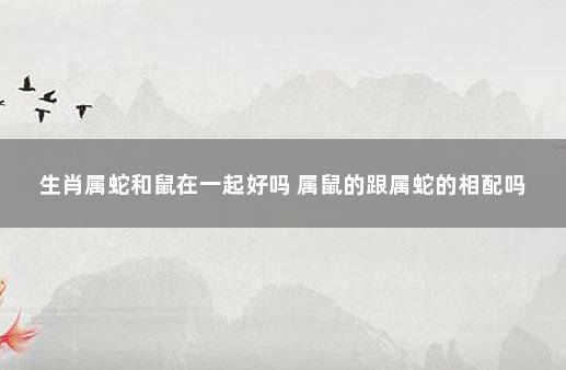生肖属蛇和鼠在一起好吗 属鼠的跟属蛇的相配吗