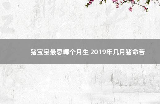 猪宝宝最忌哪个月生 2019年几月猪命苦