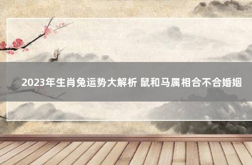 2023年生肖兔运势大解析 鼠和马属相合不合婚姻