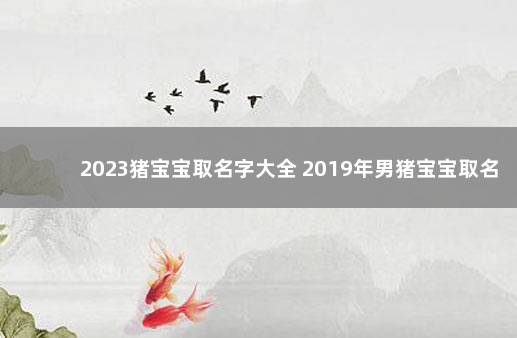 2023猪宝宝取名字大全 2019年男猪宝宝取名字大全