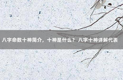 八字命数十神简介，十神是什么？ 八字十神详解代表什么