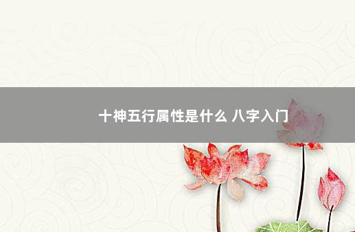 十神五行属性是什么 八字入门