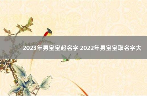 2023年男宝宝起名字 2022年男宝宝取名字大全