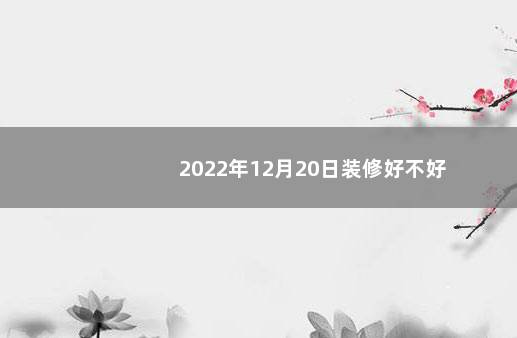 2022年12月20日装修好不好