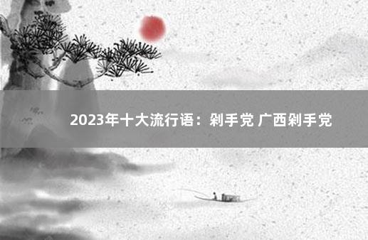 2023年十大流行语：剁手党 广西剁手党