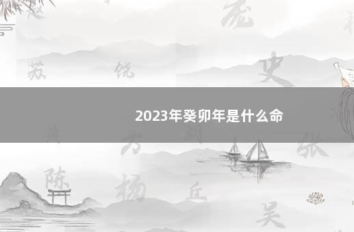 2023年癸卯年是什么命