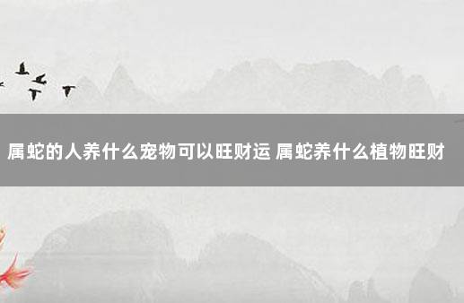 属蛇的人养什么宠物可以旺财运 属蛇养什么植物旺财运