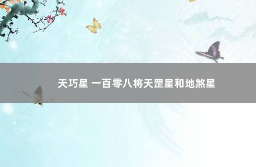 天巧星 一百零八将天罡星和地煞星