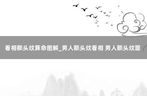 看相额头纹算命图解_男人额头纹看相 男人额头纹面相图解