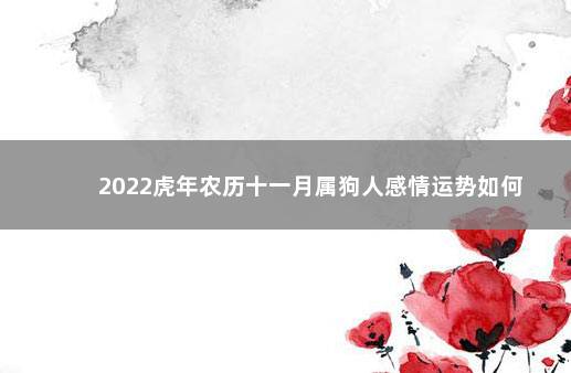 2022虎年农历十一月属狗人感情运势如何
