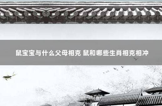 鼠宝宝与什么父母相克 鼠和哪些生肖相克相冲