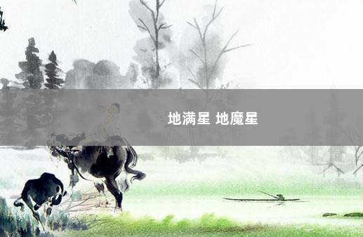 地满星 地魔星