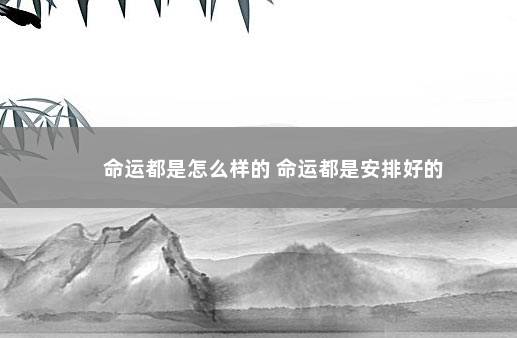 命运都是怎么样的 命运都是安排好的