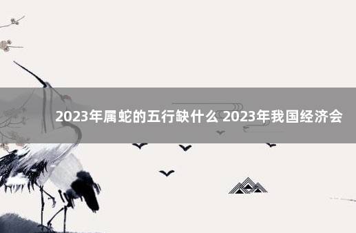 2023年属蛇的五行缺什么 2023年我国经济会不会好转