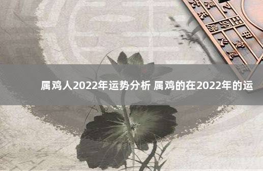 属鸡人2022年运势分析 属鸡的在2022年的运程是怎么样