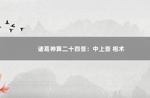 诸葛神算二十四签：中上签 相术