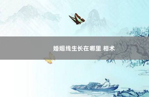 婚姻线生长在哪里 相术